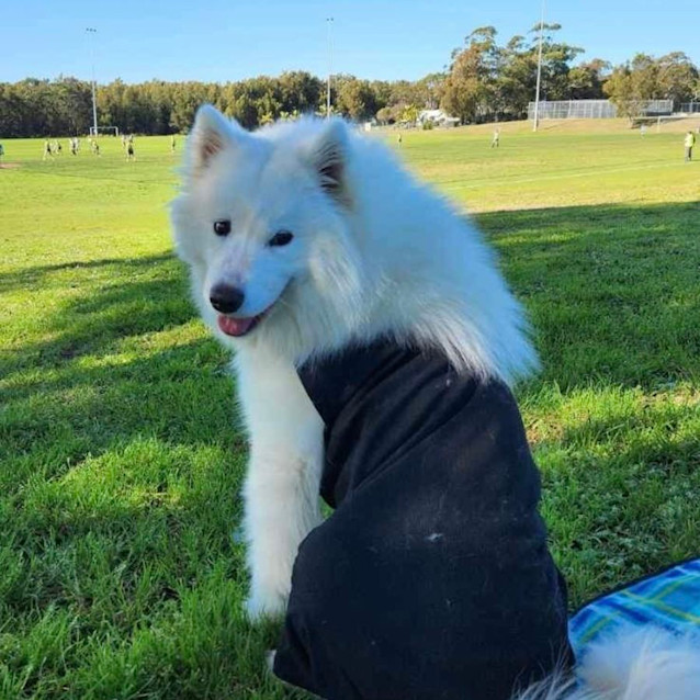 Photo of Kyoki ❤️