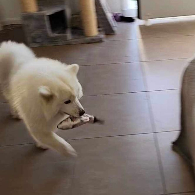 Photo of Kyoki ❤️