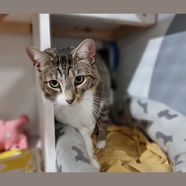 Photo of Larry
