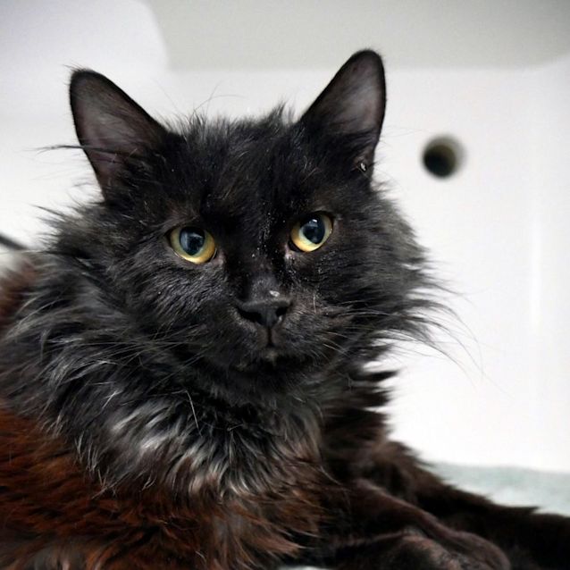 Photo of Earl Sta011582