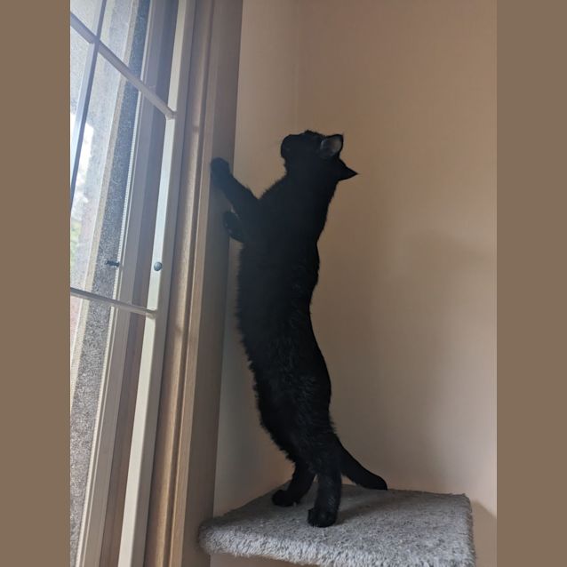 Photo of Denim