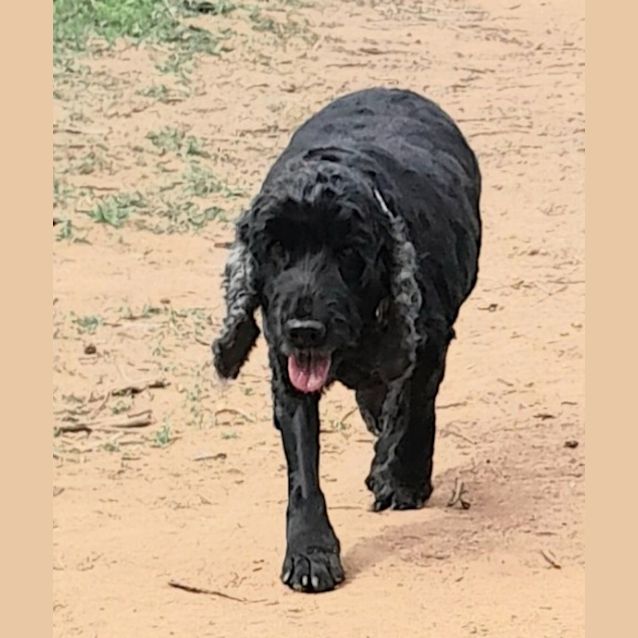 Photo of Daisy