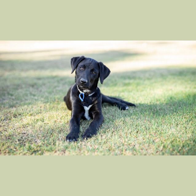 Photo of Balter