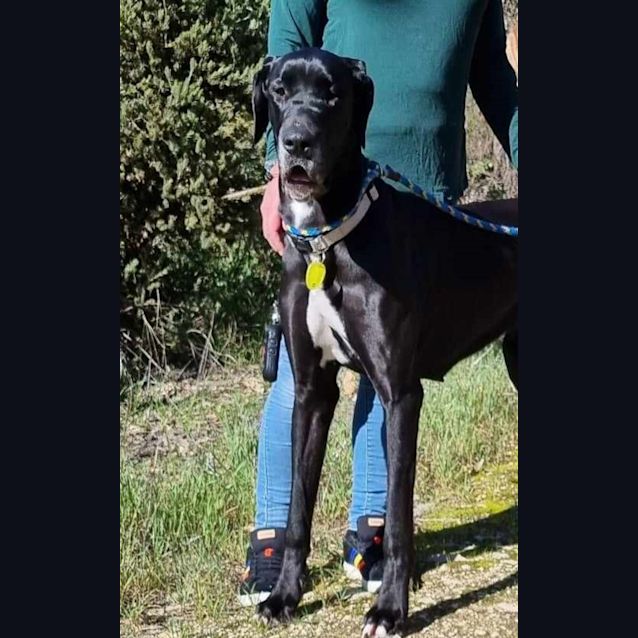 Photo of Lulu