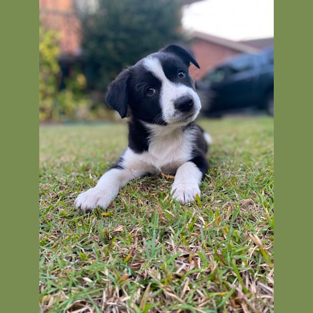 Photo of Korra