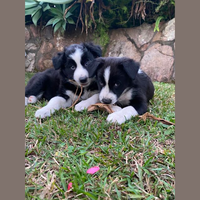 Photo of Korra