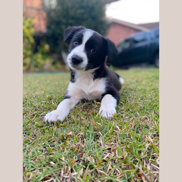 Photo of Korra
