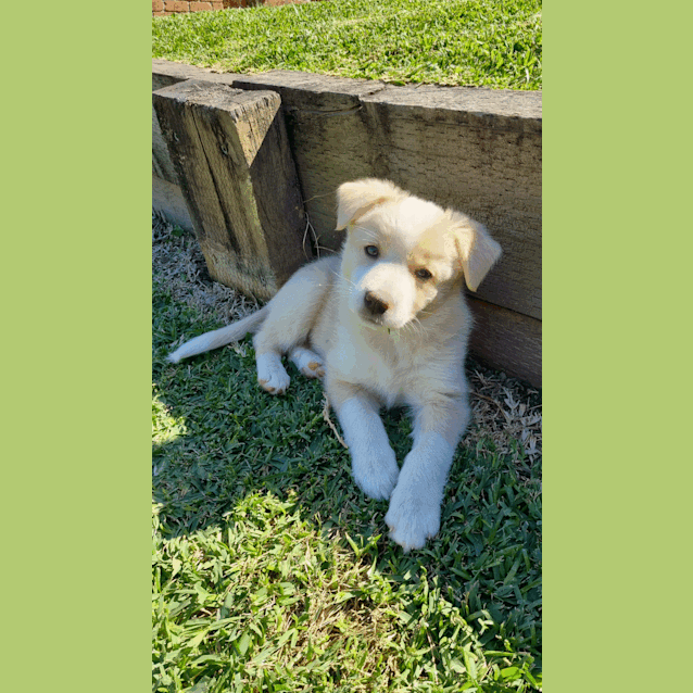 Photo of Hallie