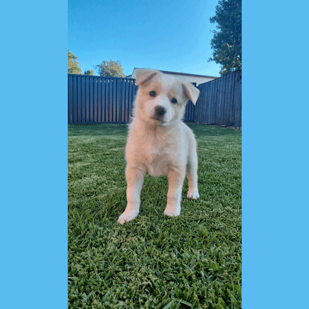 Photo of Hallie