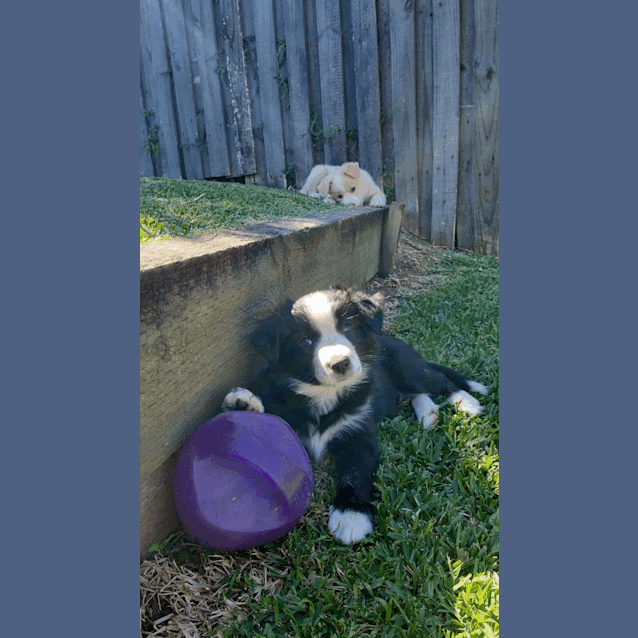 Photo of Sasha