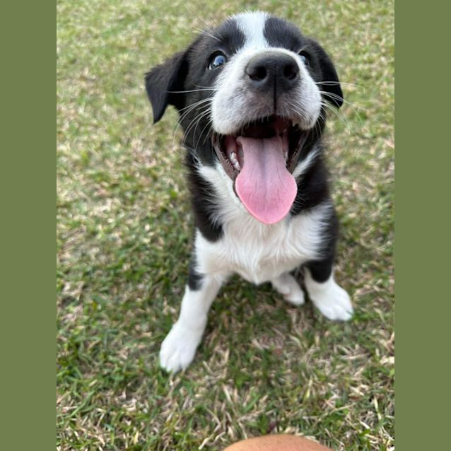 Photo of Korra