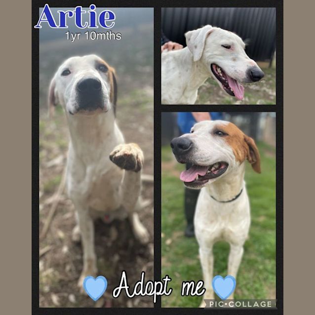 Photo of Artie