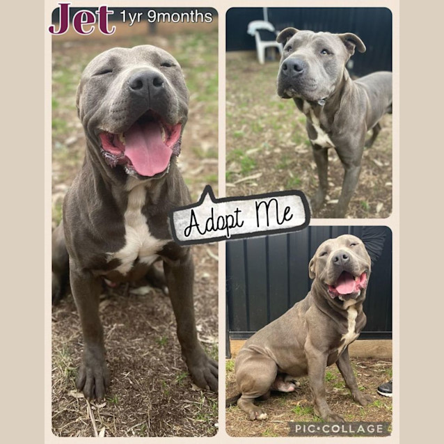 Photo of Jet