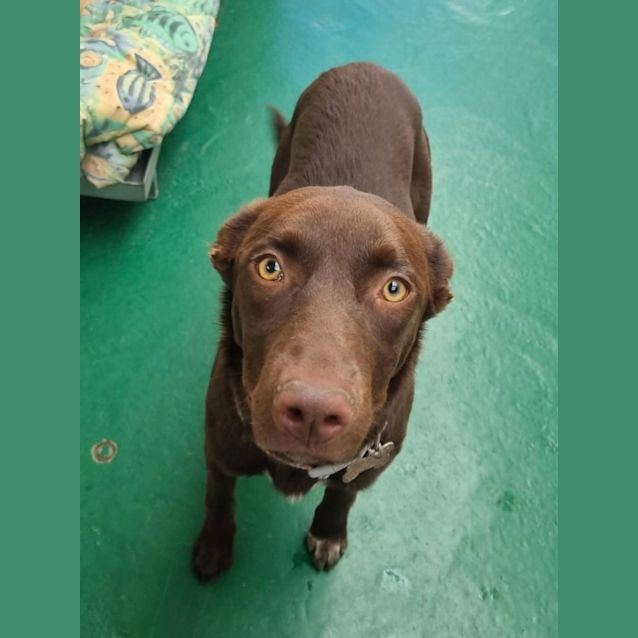 Photo of Coco