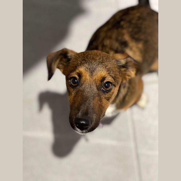 Photo of Winnie