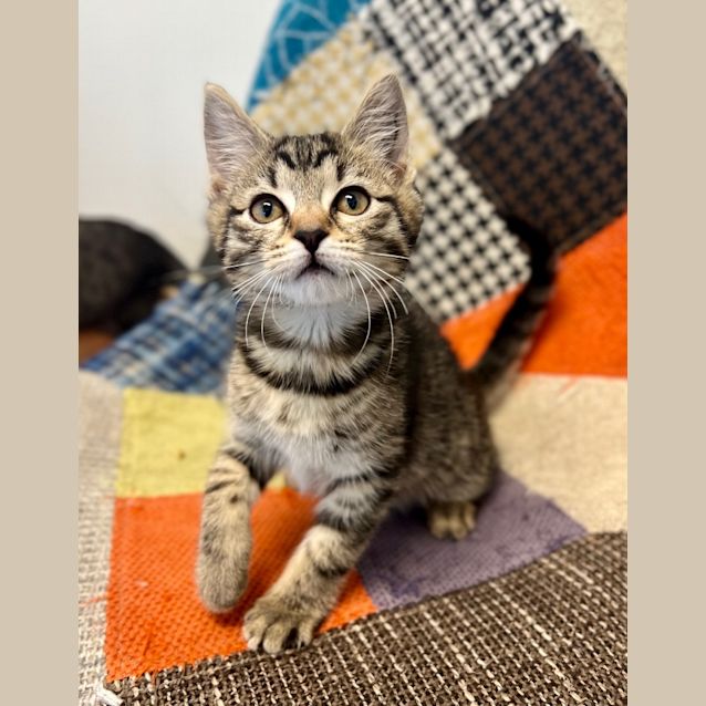 Photo of Rory