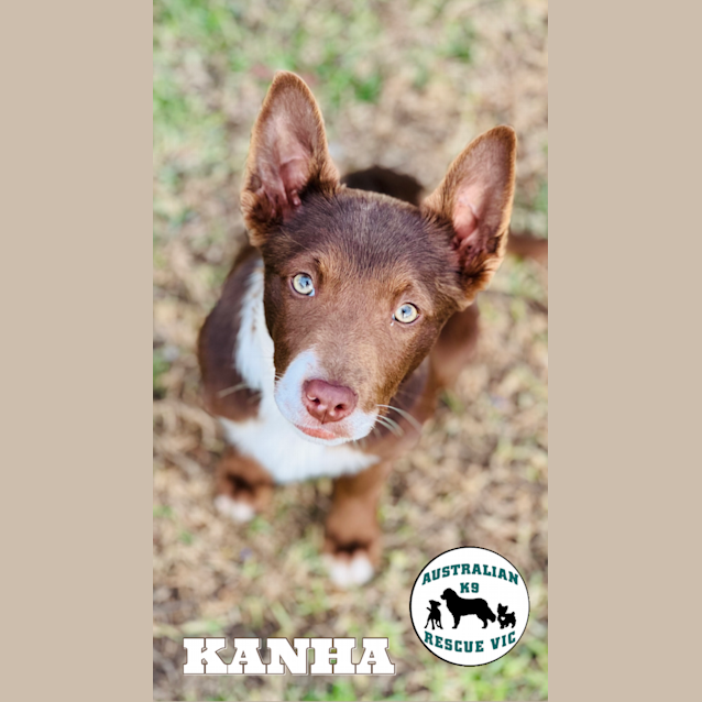 Photo of Kanha 