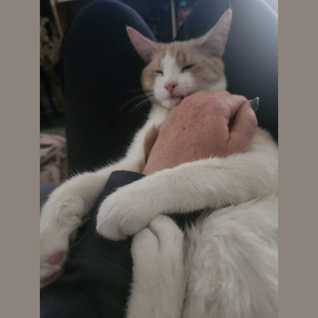 Photo of Teddy Bear Alan