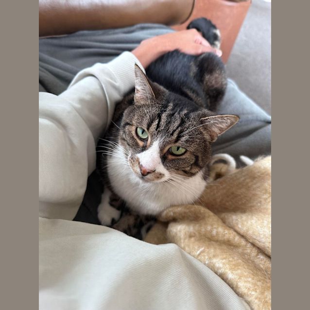 Photo of Barbados   Located In Brunswick East