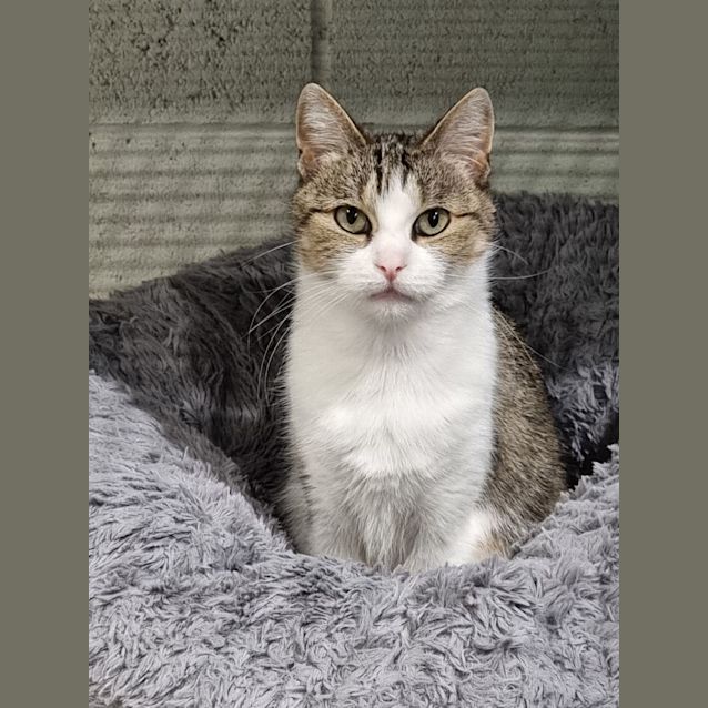 Photo of Tinkerbell