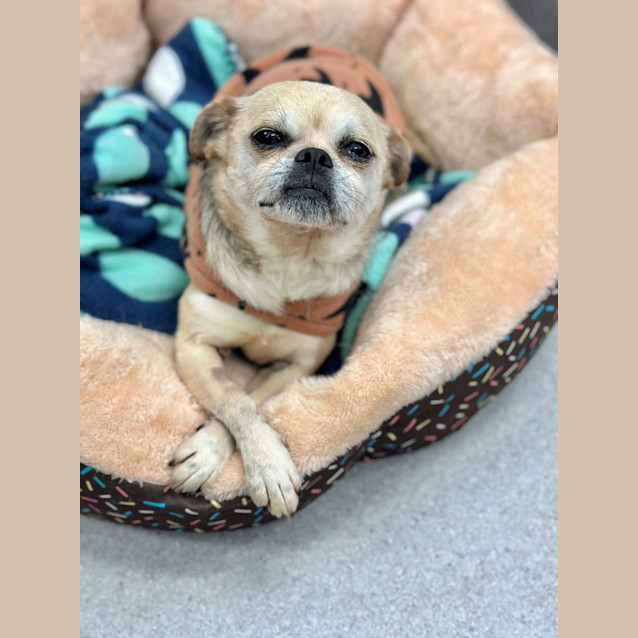 Photo of Lucy