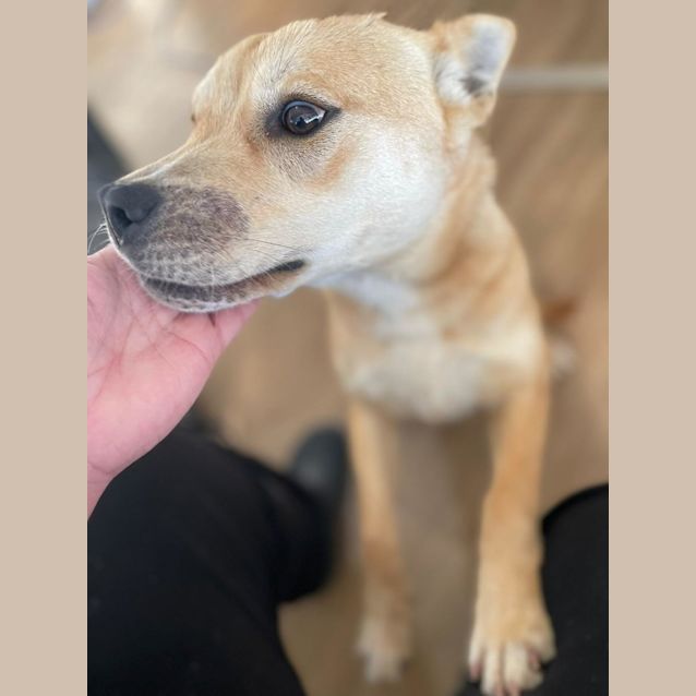 Photo of Maggie