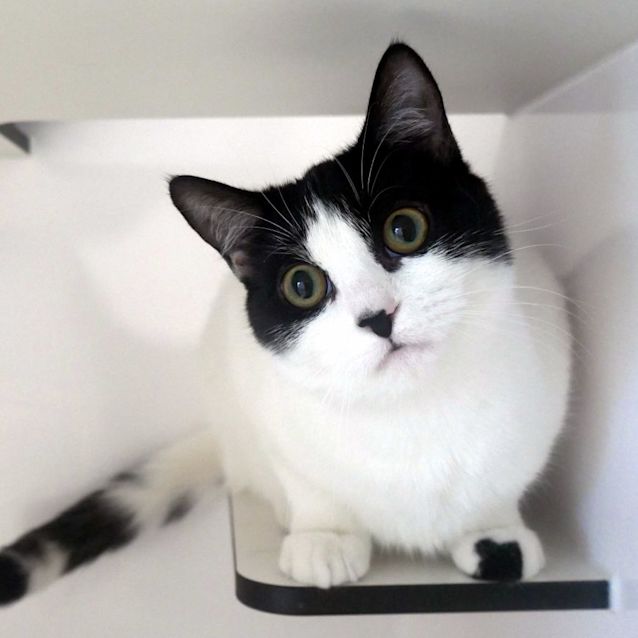 Photo of Billy Jo Sta011583