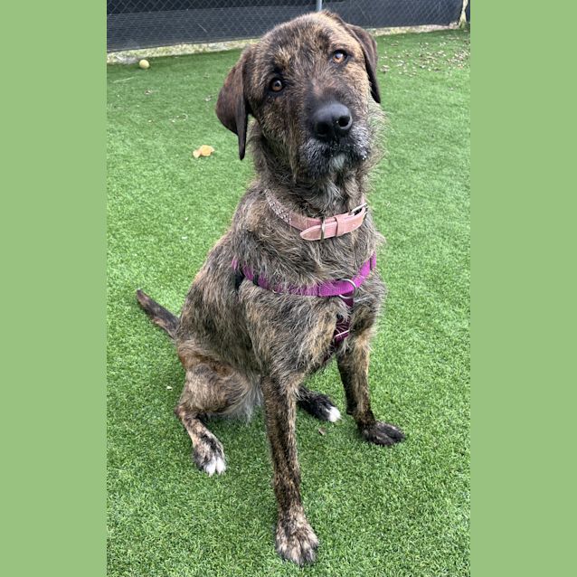 Photo of Matilda