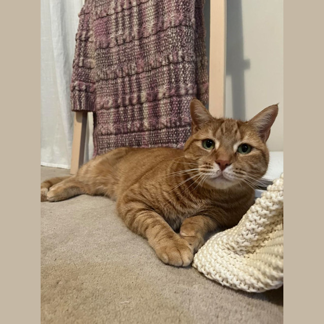Photo of Gus