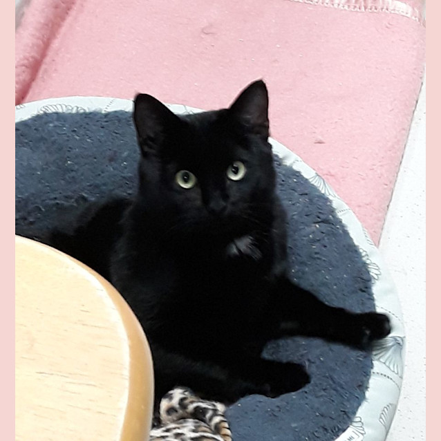 Photo of Mystery