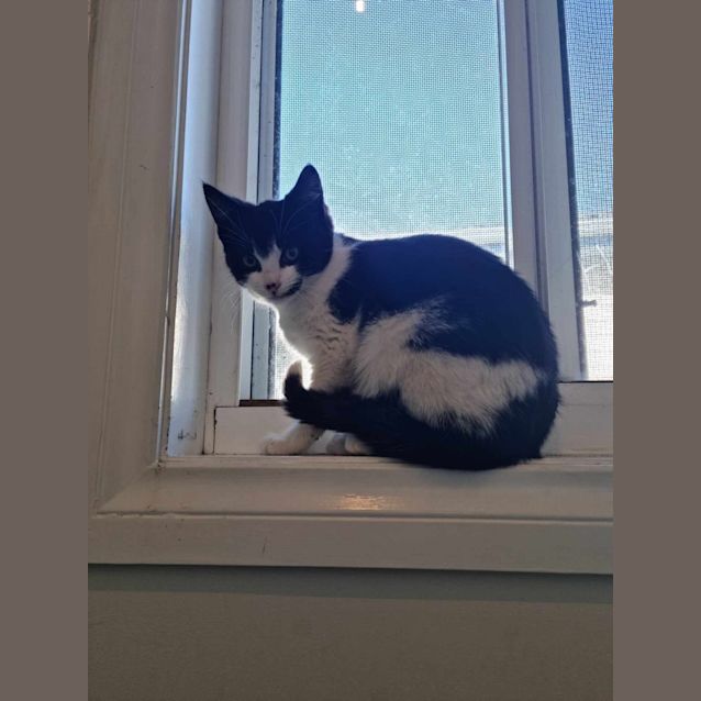 Photo of 💗🍭 Little Lady 🍭💗