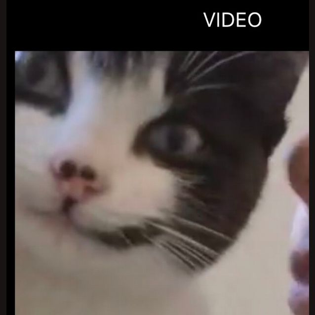 Photo of 💗🍭 Little Lady 🍭💗