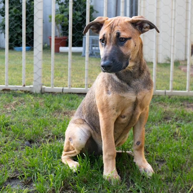 Photo of Talula
