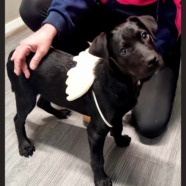 Photo of Spike