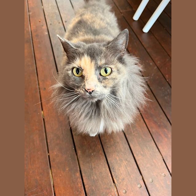 Photo of Sookie And Peach