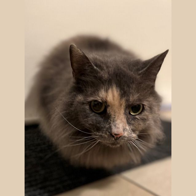 Photo of Sookie And Peach