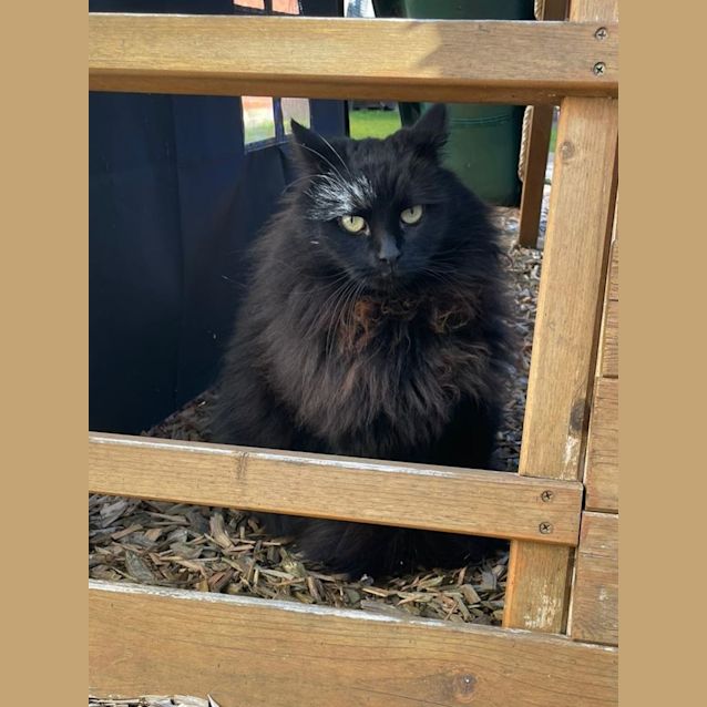 Photo of Sookie And Peach