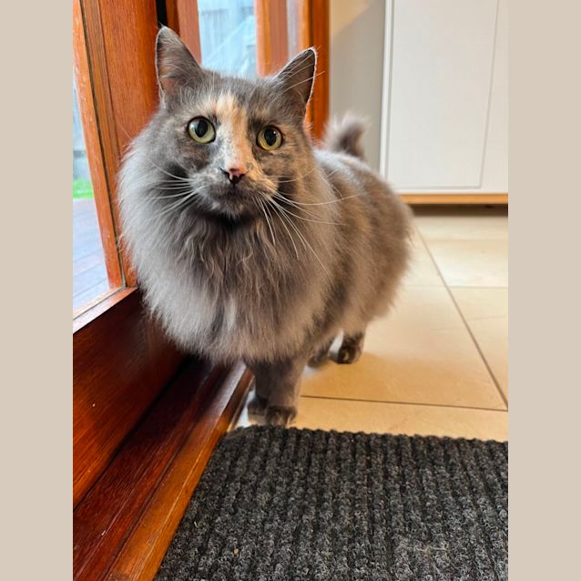 Photo of Sookie And Peach