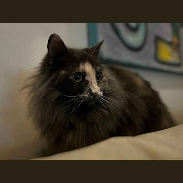 Photo of Sookie And Peach