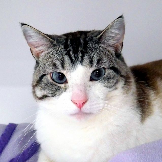 Photo of Husk Rsta010833