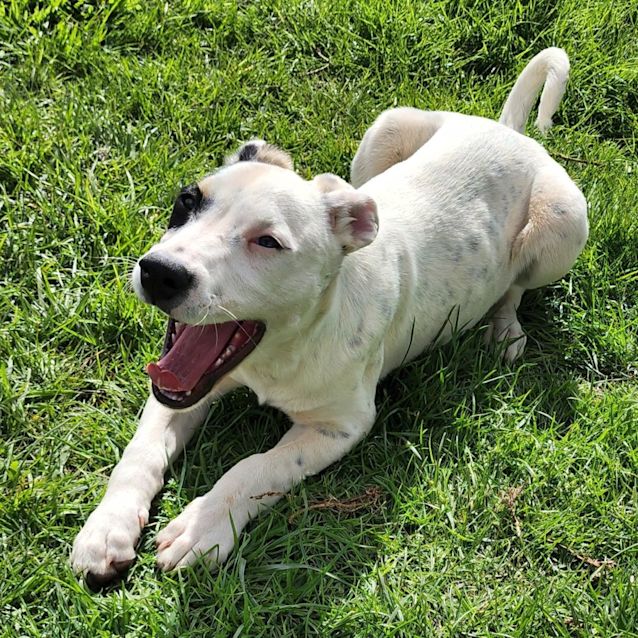 Photo of Echo
