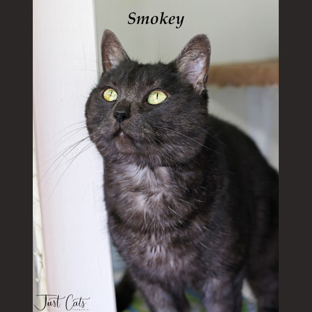 Photo of Smokey