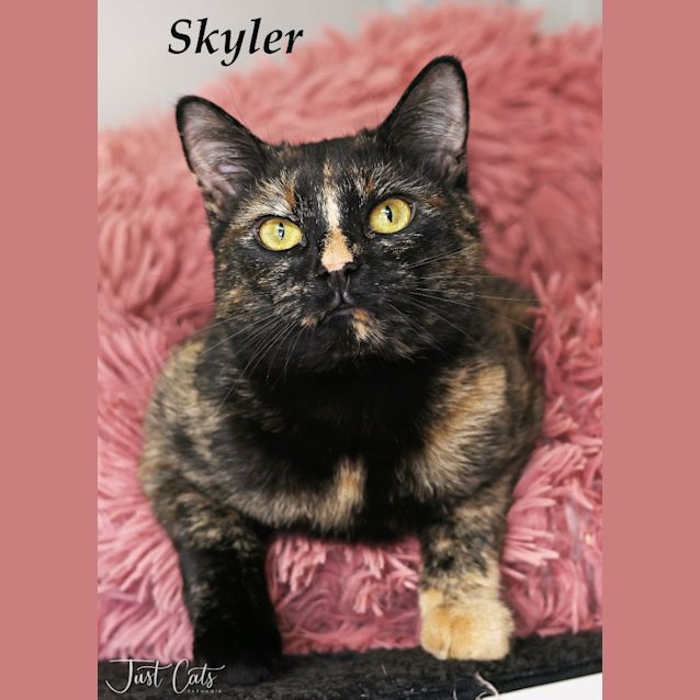 Photo of Skyler