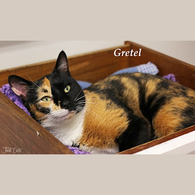 Photo of Gretel
