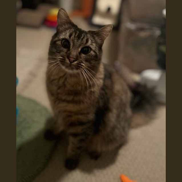 Photo of Bb