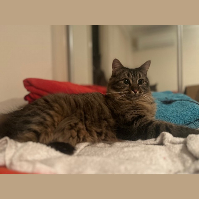 Photo of Bb