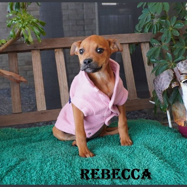 Photo of Rebecca