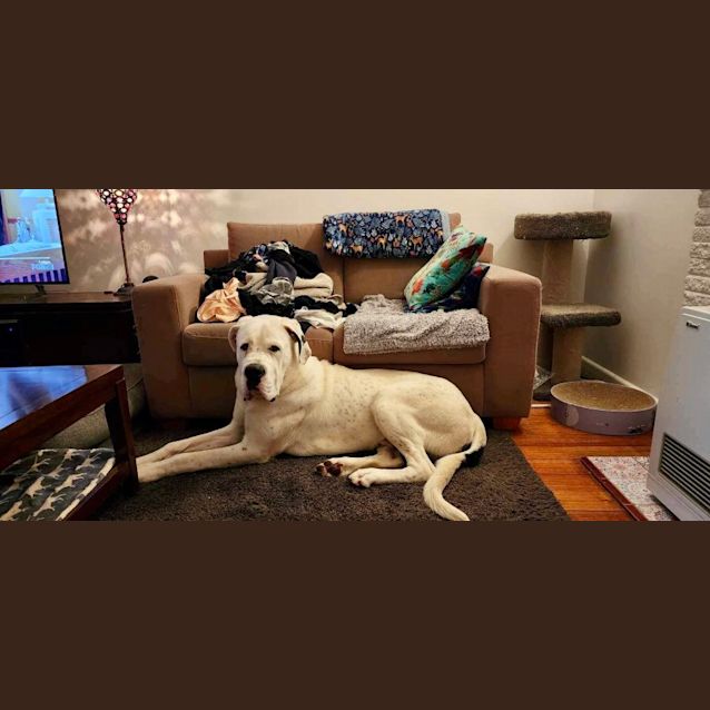 Photo of Cash