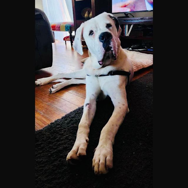 Photo of Cash