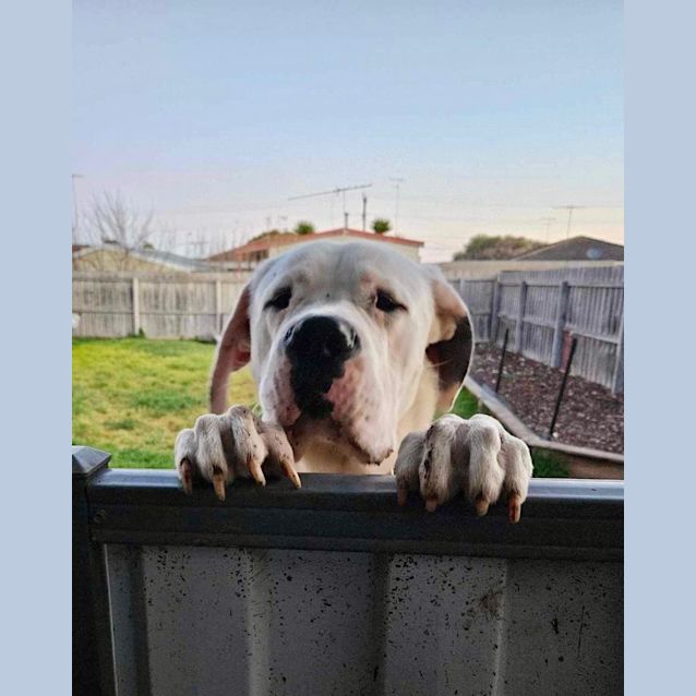 Photo of Cash